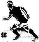 DVFL Logo